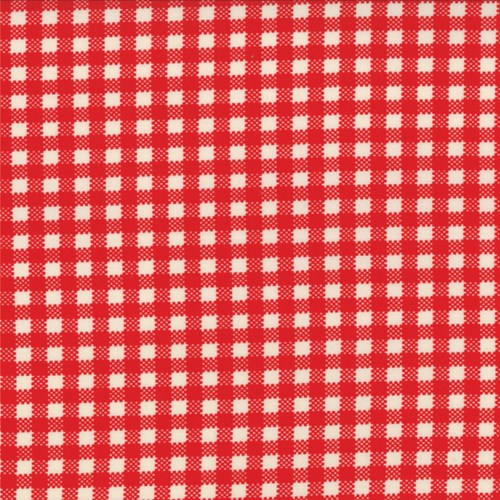 Gingham in Red