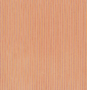 Texture Stripe in Carnelian