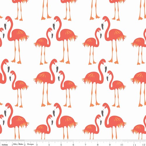 Flamingo in Orange
