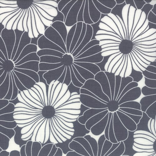Daisies in Graphite Gray