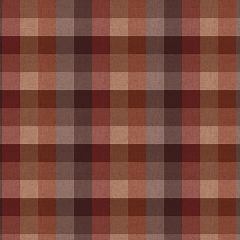 Mountains Calling Gingham - Brown
