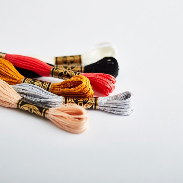 DMC 6 Strand Embroidery Floss