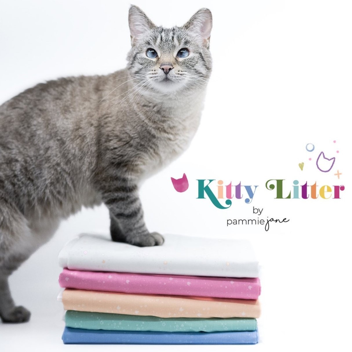 Kitty Litter | Pammie Jane