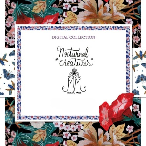 Nocturnal Creatures | Maria Matos