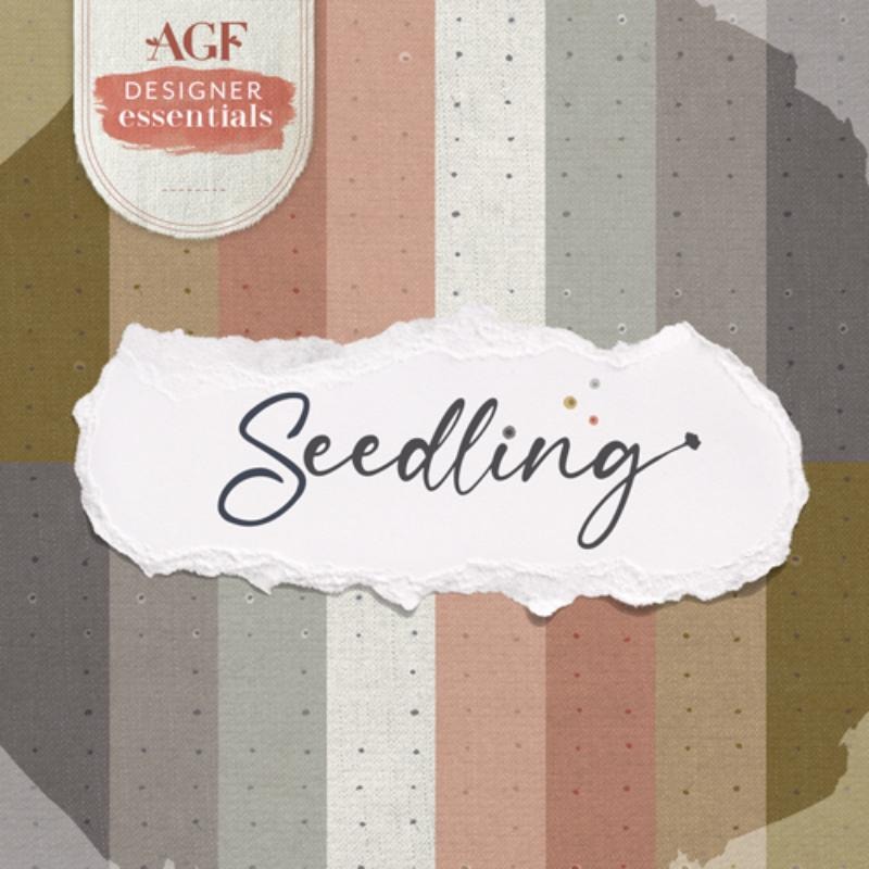 Seedling | Katarina Roccella