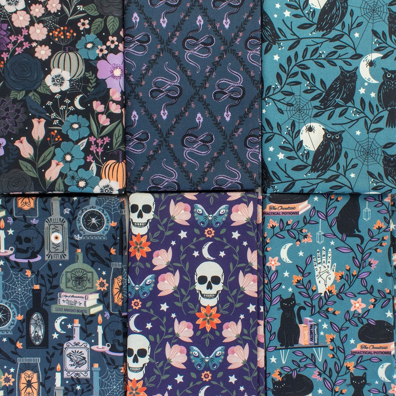 Spellbound | Sally Mountain