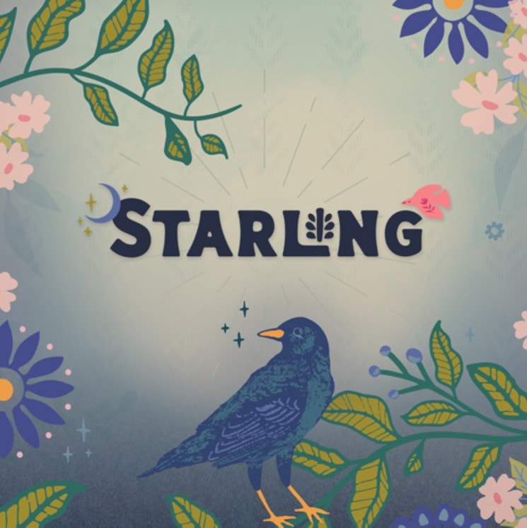 Starling | Maureen Cracknell