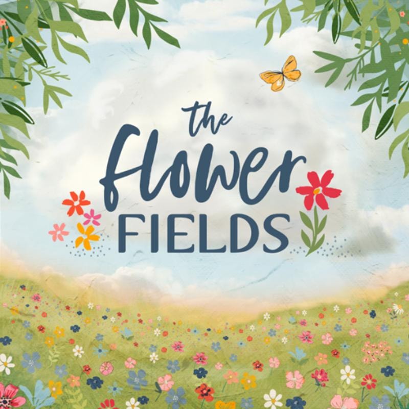 The Flower Fields | Maureen Cracknell