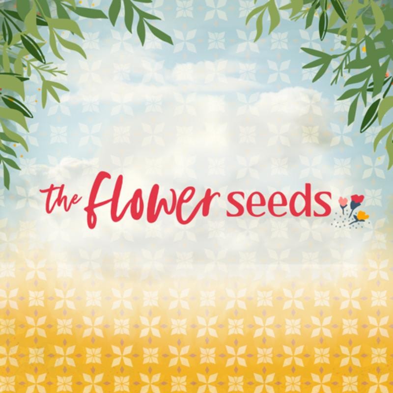 The Flower Seeds | Maureen Cracknell
