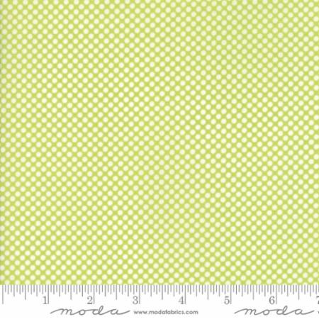 108" Wide Polka Dot in Green