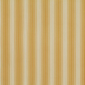 Stripes in Maize