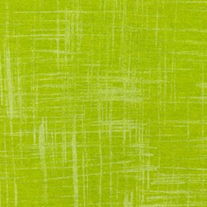 Painter's Canvas in Lime