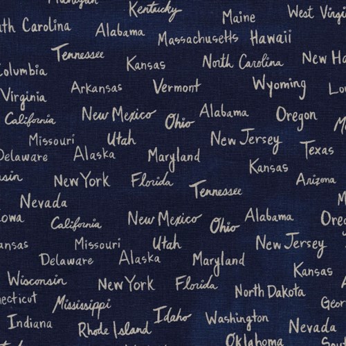 All the States Canvas in Navy