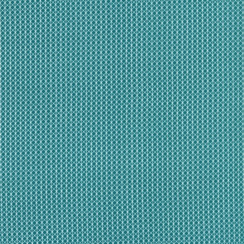 Netorious - Teal