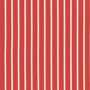 Pinstripe in Red