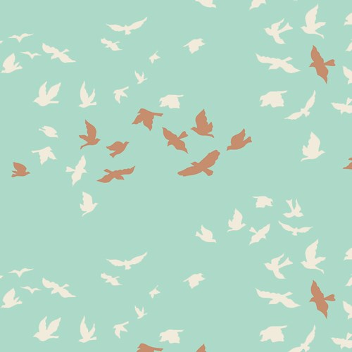Aves Chatter in Shine