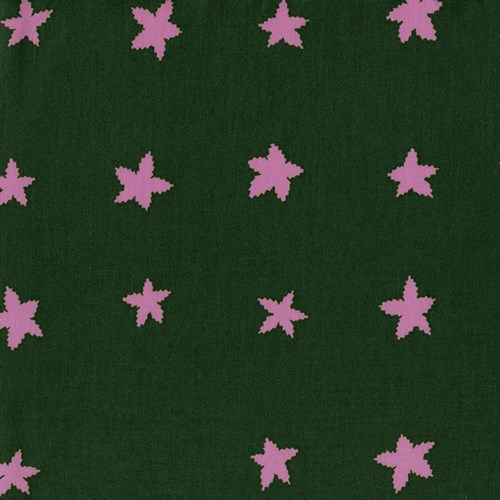 Stars in Evergreen