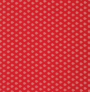 Lady Bug in Lava