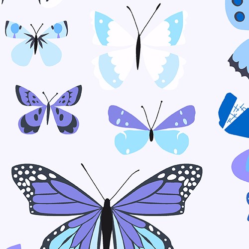 Butterfly Box in Purple