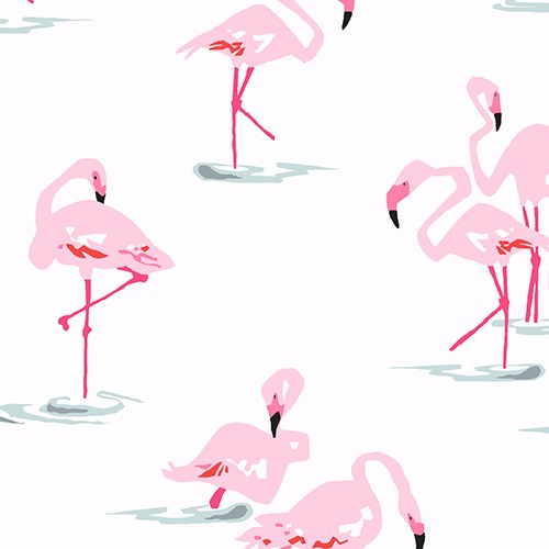 Flamingos in White