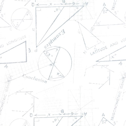 Metrics Geometry in Silver White