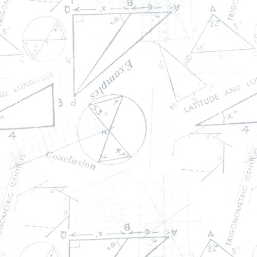 Metrics Geometry in Silver White