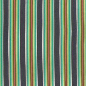 Tick Tock Stripe in Mint