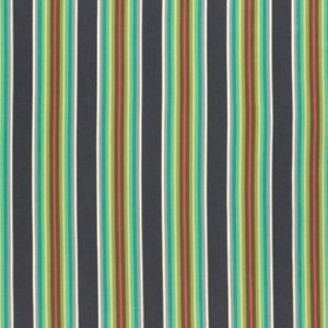 Tick Tock Stripe in Mint