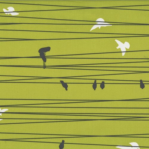 Birds on a Wire in Sulfur