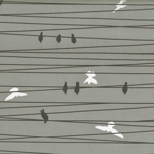 Birds on a Wire in Stone