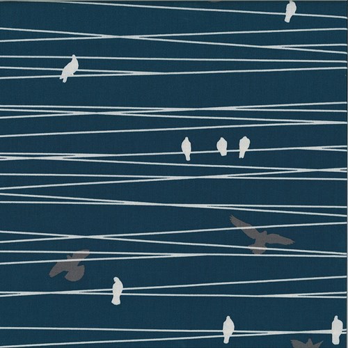 Birds on a Wire in Navy