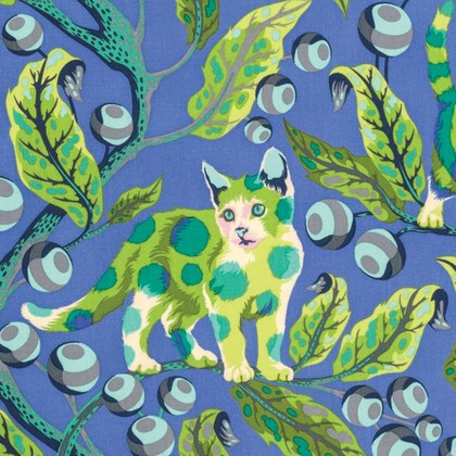 Disco Kitty in Blue Bird