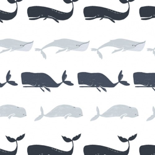 Whale Species in White