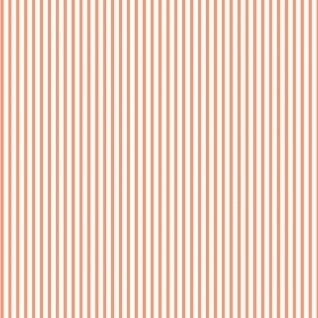 Dress Stripe in Orange