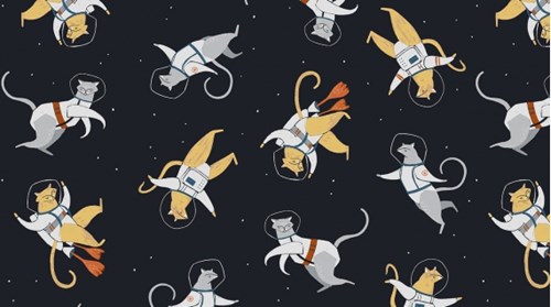 Cats in Space in Navy