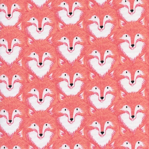 Foxes in Coral