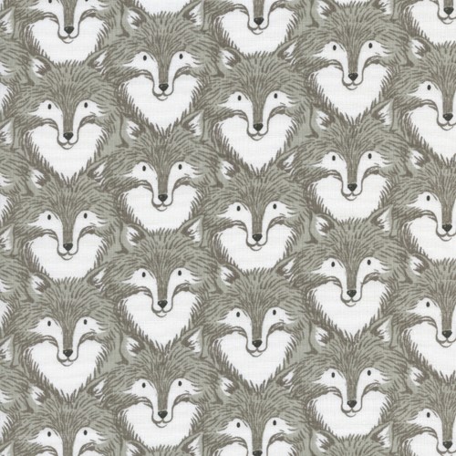 Foxes in Grey
