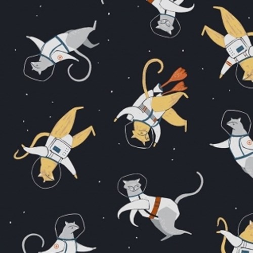 Cats in Space in Navy