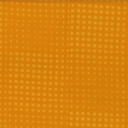 Squared Off in Sunflower