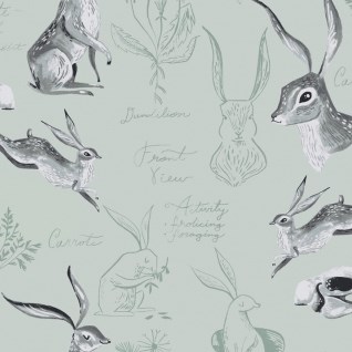 Rabbit Study in Misty