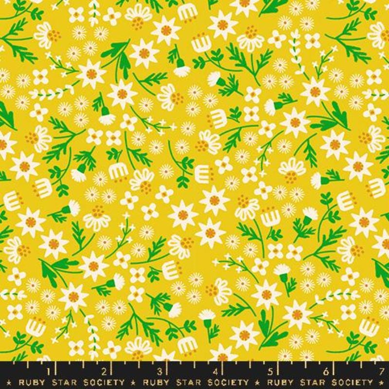 Inflorescence - Golden Hour