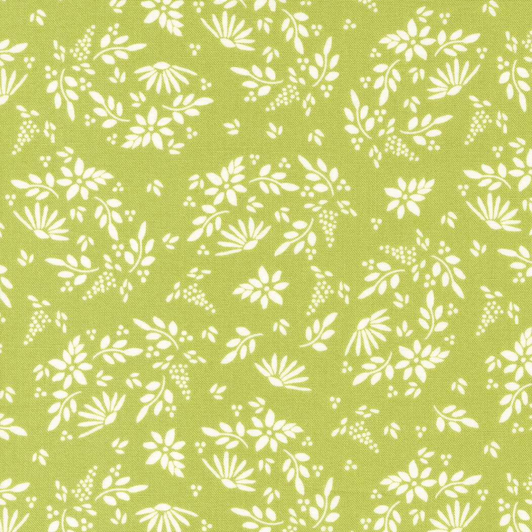 Amaryllis Floral - Chartreuse