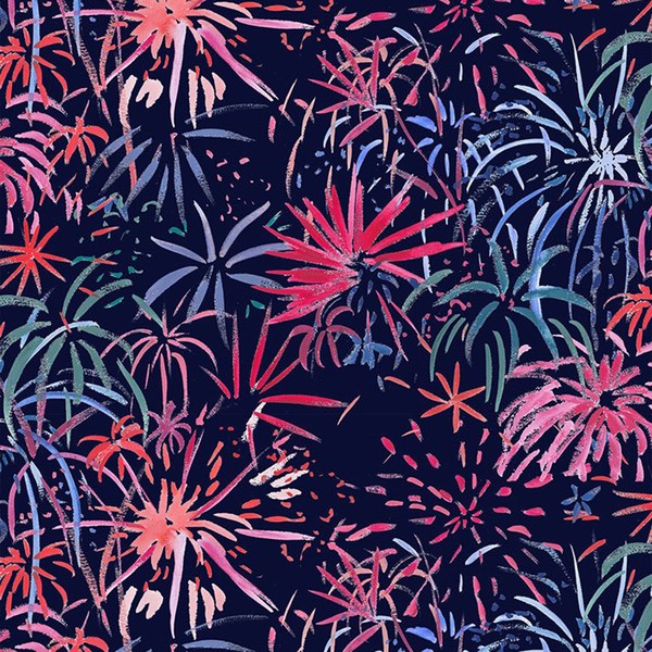American Summer Fireworks