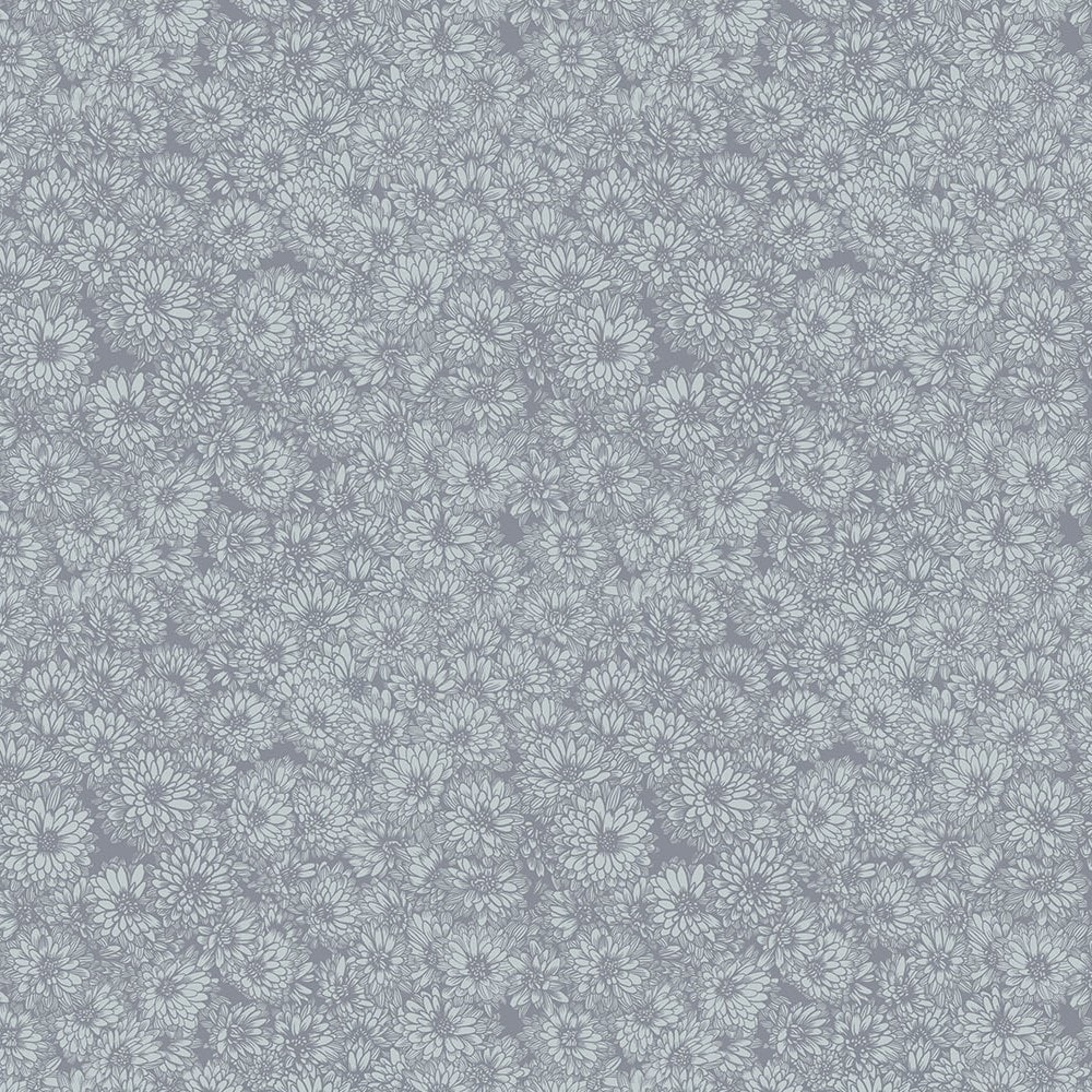 Anemone - Stone