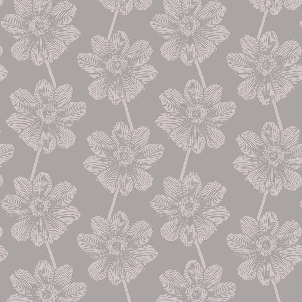 Anemone - Hazey