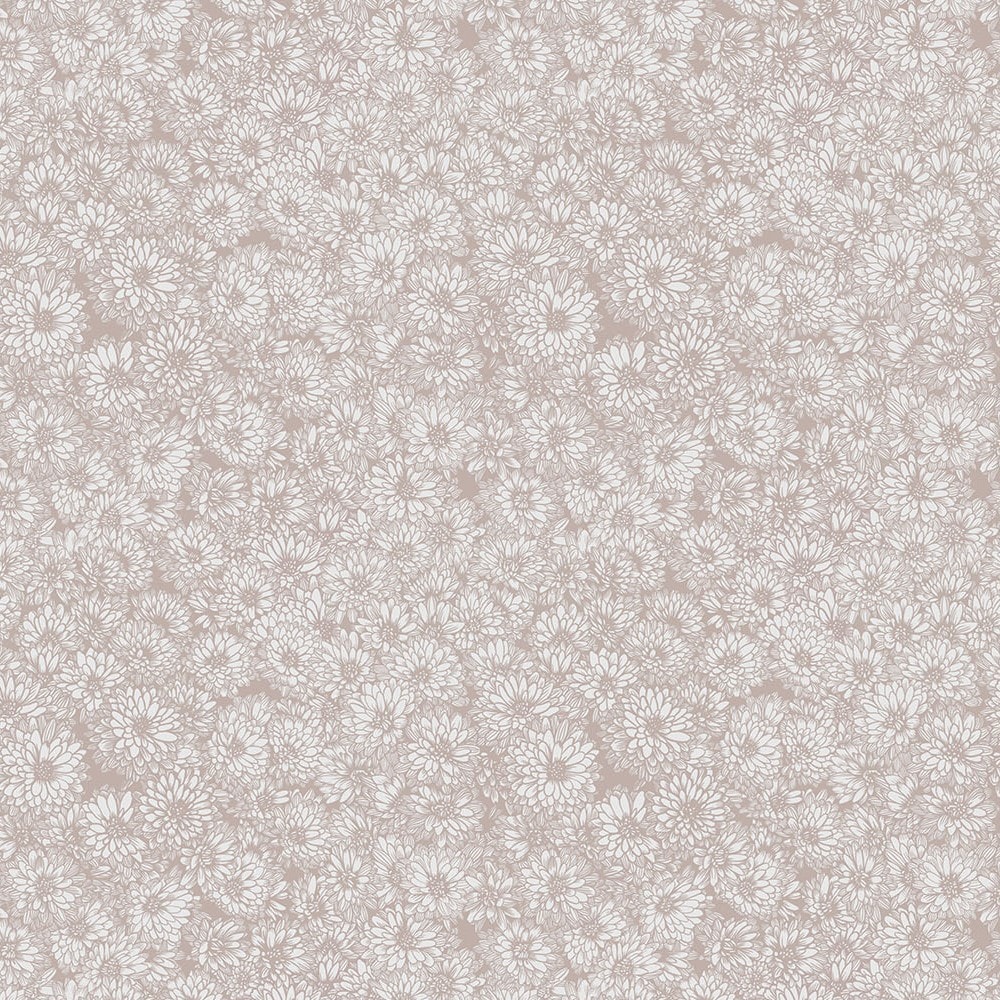 Anemone - Beige