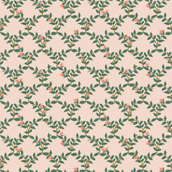 Arbor Rose