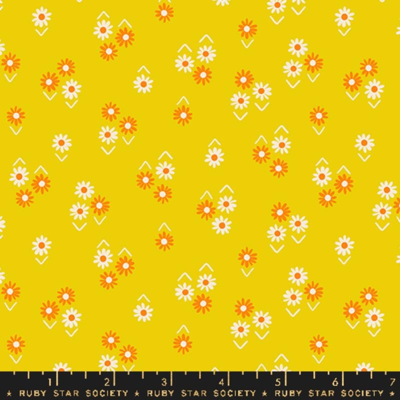 Baby Flowers - Golden Hour