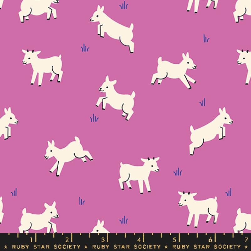 Baby Goats