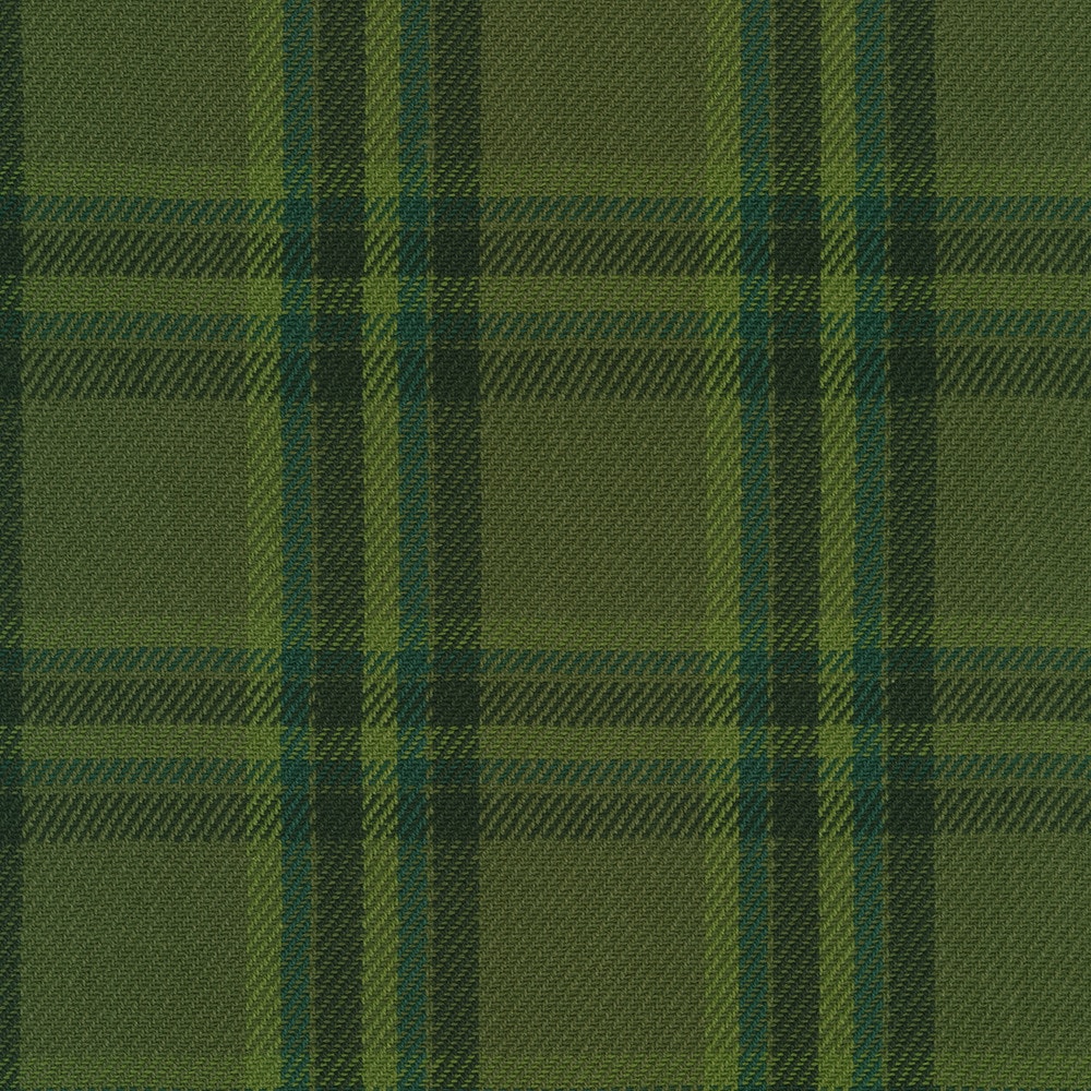 Baja Blanket Plaid - Palm